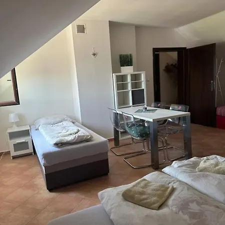 Vinny Sklipek S Ubytovanim Holiday home Boretice