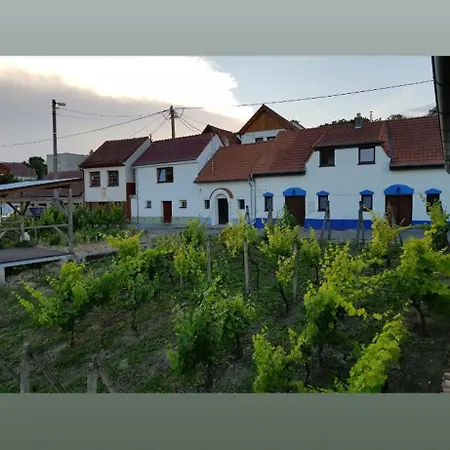 Vinny Sklipek S Ubytovanim Holiday home *