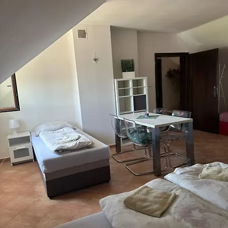 Vinny Sklipek S Ubytovanim Holiday home Boretice