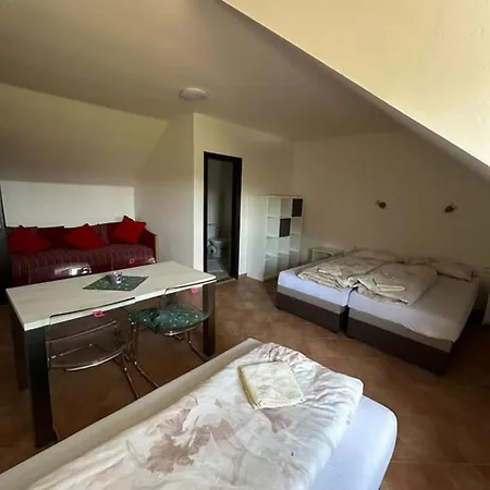 Vinny Sklipek S Ubytovanim Holiday home Boretice